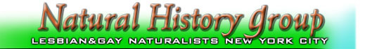 RESTORE NHG HOME PAGE